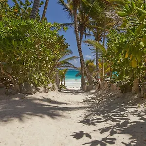 Dos Ceibas - Massage & Yoga Inclusive **** Tulum